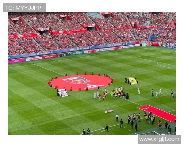 17号足球明星全景展示与精彩瞬间回顾