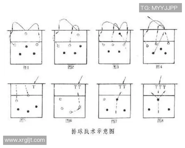 杭州排球队在冠军赛中的节奏表现分析与战术探讨 杭州排球队在冠军赛中的节奏表现分析与战术探讨