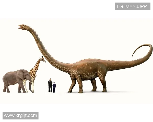 动物与足球明星的速度与灵活性对比探讨