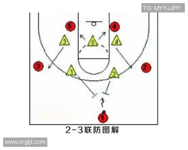 北京排球队创新盯防战术提升整体实力的深度解析与展望